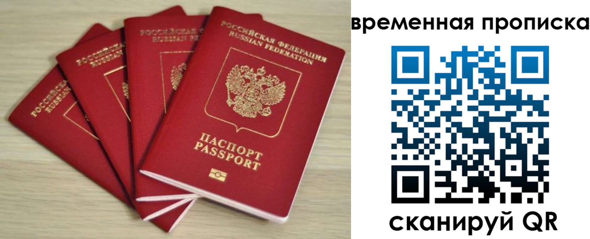 прописка для школы в Истре